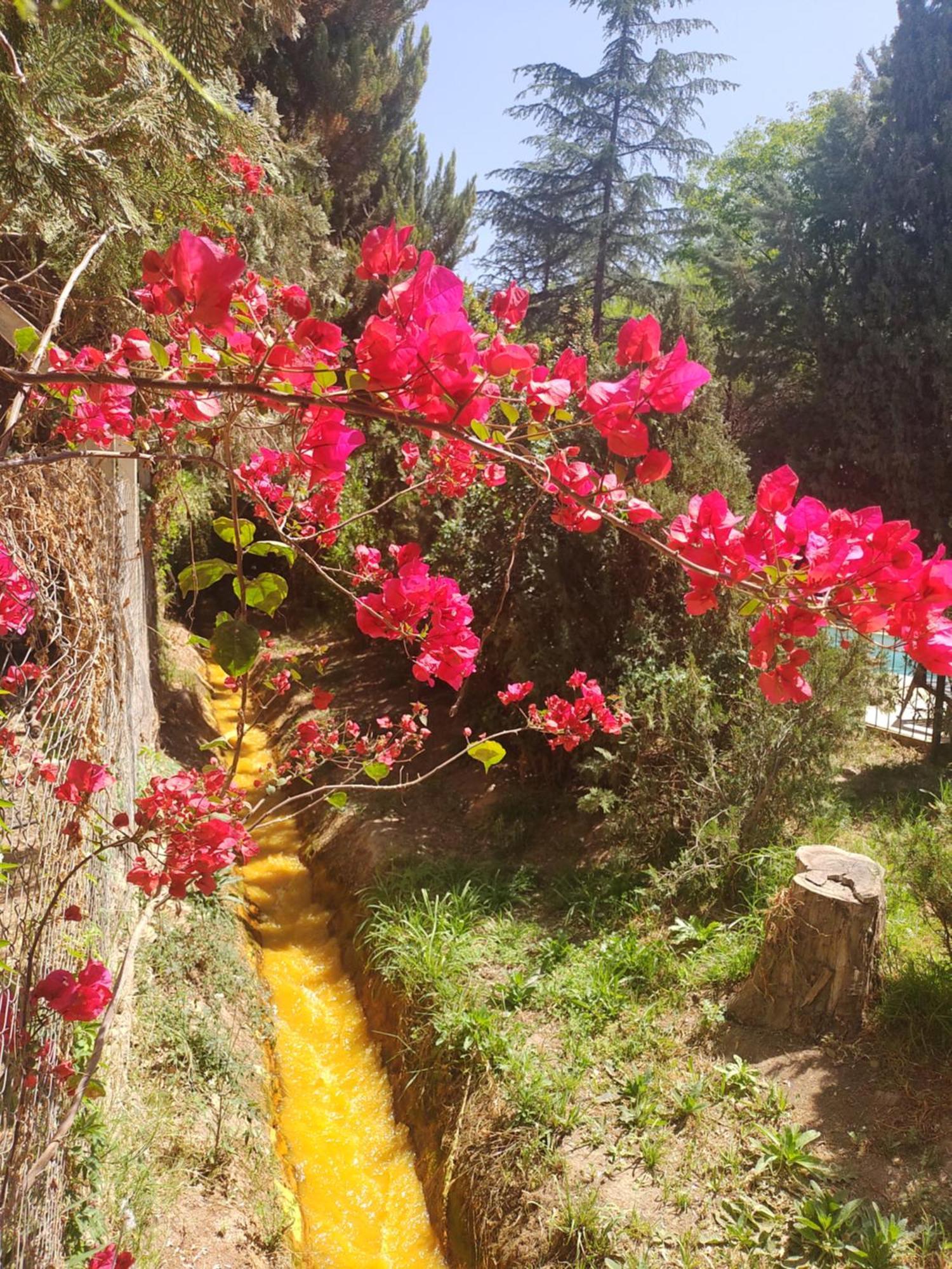 Valle San Miguel Lodge *